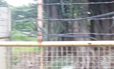 COMMERCIAL LOT ALONG THE ROAD BESIDE GASOLINE STATION IN MANDAUE CITY CEBU