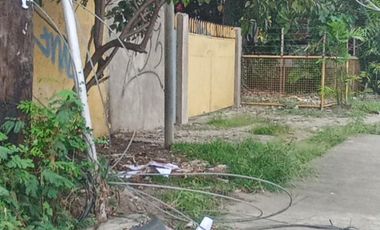 COMMERCIAL LOT ALONG THE ROAD BESIDE GASOLINE STATION IN MANDAUE CITY CEBU
