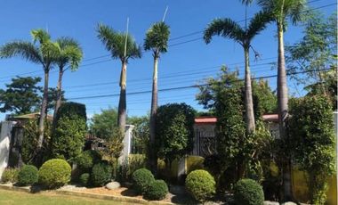 Rest House With Beautiful Garden and Spacious Parking in Tarlac City