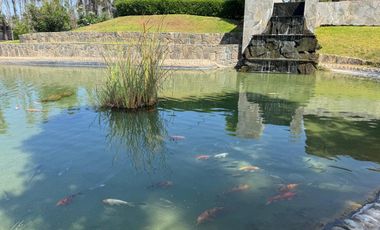 VENDO TERRENO -LOTE EN CONDOMINIO CASABLANCA ECOVILLAS, CERRO AZUL, CAÑETE