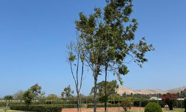 VENDO TERRENO -LOTE EN CONDOMINIO CASABLANCA ECOVILLAS, CERRO AZUL, CAÑETE