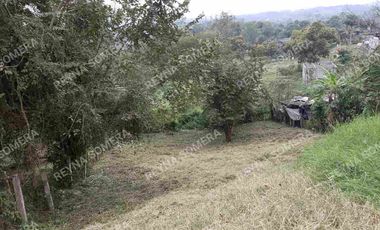 VENTA TERRENO COATZINTLA VERACRUZ