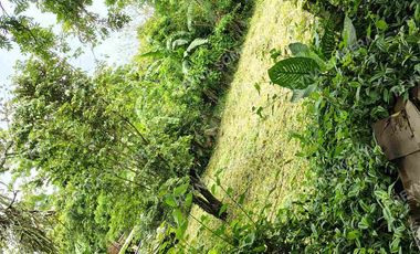 VENTA TERRENO COATZINTLA VERACRUZ