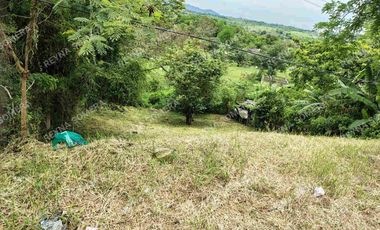 VENTA TERRENO COATZINTLA VERACRUZ