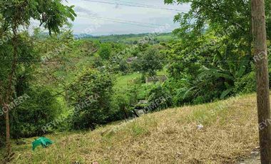 VENTA TERRENO COATZINTLA VERACRUZ