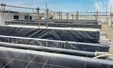 N19 - Venta Laboratorio de Larvas de Camarón - Punta Carnero - Santa Elena - Ecuador