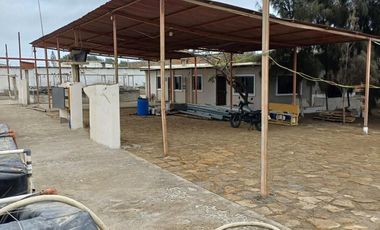N19 - Venta Laboratorio de Larvas de Camarón - Punta Carnero - Santa Elena - Ecuador