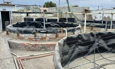N19 - Venta Laboratorio de Larvas de Camarón - Punta Carnero - Santa Elena - Ecuador