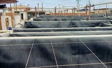 N19 - Venta Laboratorio de Larvas de Camarón - Punta Carnero - Santa Elena - Ecuador