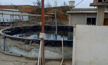 N19 - Venta Laboratorio de Larvas de Camarón - Punta Carnero - Santa Elena - Ecuador