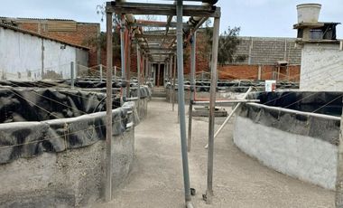 N19 - Venta Laboratorio de Larvas de Camarón - Punta Carnero - Santa Elena - Ecuador