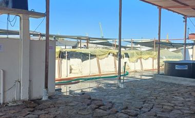 N19 - Venta Laboratorio de Larvas de Camarón - Punta Carnero - Santa Elena - Ecuador