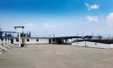 N19 - Venta Laboratorio de Larvas de Camarón - Punta Carnero - Santa Elena - Ecuador