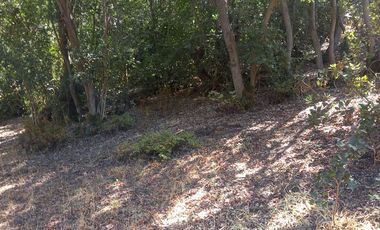 SE VENDE PARCELA 5.200 M2 LAGUNA DE ACULEO