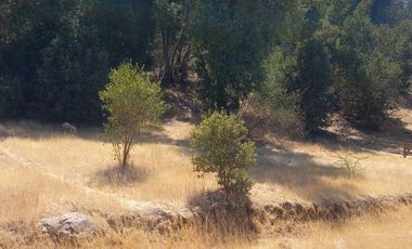 SE VENDE PARCELA 5.200 M2 LAGUNA DE ACULEO