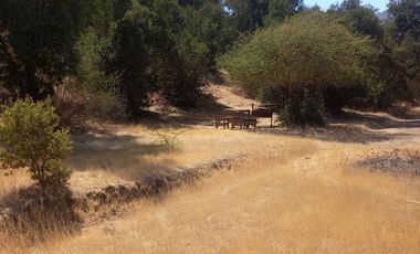 SE VENDE PARCELA 5.200 M2 LAGUNA DE ACULEO