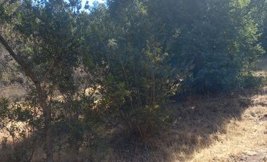 SE VENDE PARCELA 5.200 M2 LAGUNA DE ACULEO