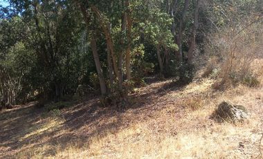 SE VENDE PARCELA 5.200 M2 LAGUNA DE ACULEO