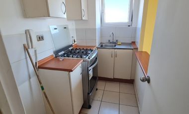Se arrienda acogedor departamento en Concepción