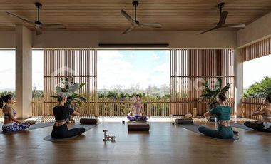 A boutique Apartment Complex on a Hill With Breathtaking Views of The Jungle and Rice Fields in Ubud
