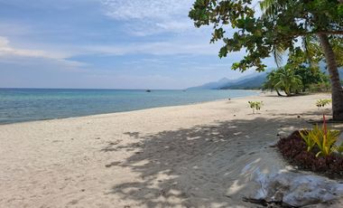 Prime 3BR Beachfront Penthouse Condo Unit in Laiya Batangas