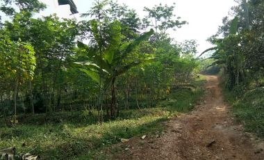 2,8 Ha Tanah Kebun Strategis, Zona Kuning, Pojok Sadang Ciburuy, Padalarang, Bandung Barat
