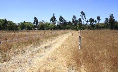 Parcelas de agrado a minutos de Pelarco