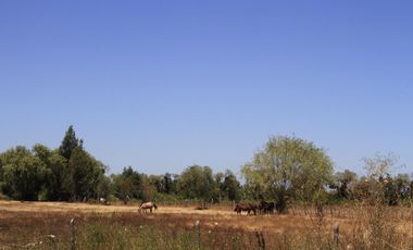 Parcelas de agrado a minutos de Pelarco