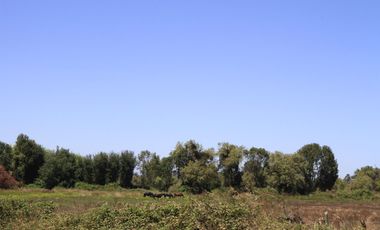 Parcelas de agrado a minutos de Pelarco