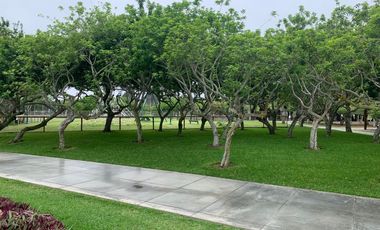 Venta de terreno excelente ubicacion Fila 3 en Playa Blanca (Asia - Cañete)