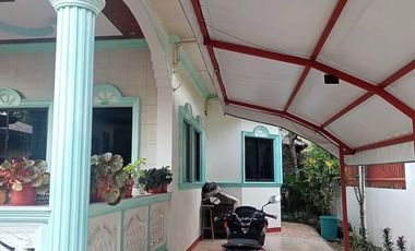 HOUSE AND LOT FOR SALE IN DUMAGUETE CITY ID 14972