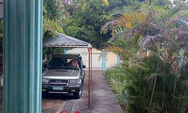 HOUSE AND LOT FOR SALE IN DUMAGUETE CITY ID 14972