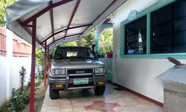 HOUSE AND LOT FOR SALE IN DUMAGUETE CITY ID 14972