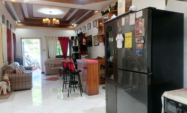 HOUSE AND LOT FOR SALE IN DUMAGUETE CITY ID 14972