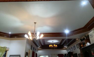 HOUSE AND LOT FOR SALE IN DUMAGUETE CITY ID 14972