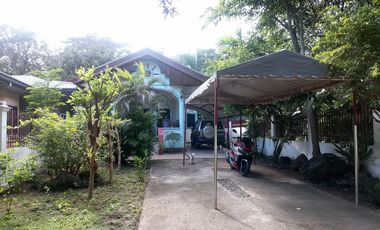 HOUSE AND LOT FOR SALE IN DUMAGUETE CITY ID 14972