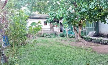 HOUSE AND LOT FOR SALE IN DUMAGUETE CITY ID 14972