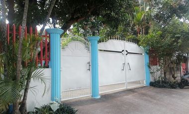 HOUSE AND LOT FOR SALE IN DUMAGUETE CITY ID 14972