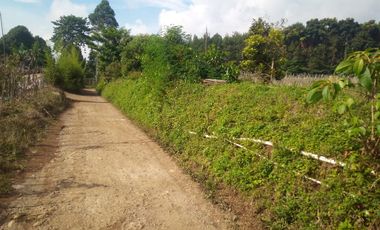 3 Ha Kebun di Pinggir Jalan Masuk Wisata Bukit Senyum, Bandung Barat
