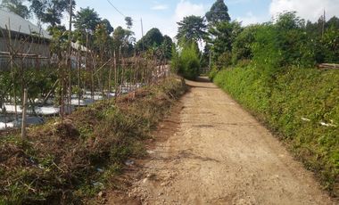 3 Ha Kebun di Pinggir Jalan Masuk Wisata Bukit Senyum, Bandung Barat