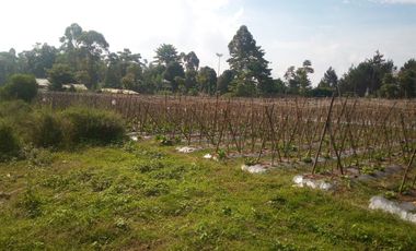 3 Ha Kebun di Pinggir Jalan Masuk Wisata Bukit Senyum, Bandung Barat