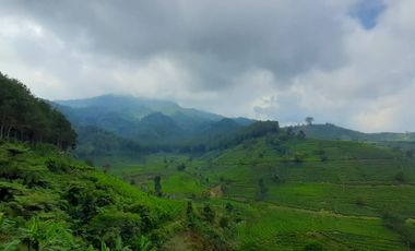 3 Ha Kebun di Pinggir Jalan Masuk Wisata Bukit Senyum, Bandung Barat