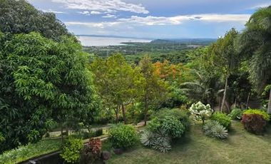 Farm House and Lot for Sale at Quisao, Pililla, Rizal