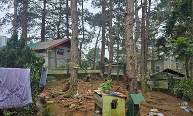 8 Bedrooms House and Lot for Sale in Suello Village, Baguio City