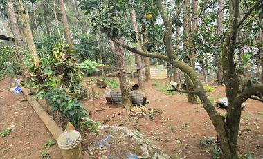 8 Bedrooms House and Lot for Sale in Suello Village, Baguio City