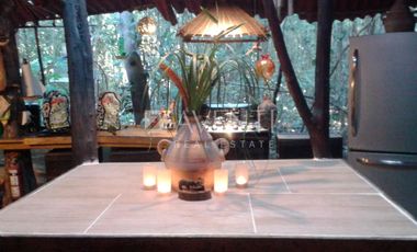 Terreno en Venta, Puerto Morelos, Quintana Roo.