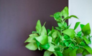 hermoso estudio centrico en menesse tulum