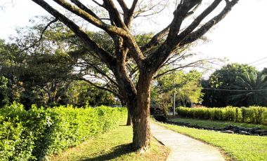 ARRIENDO CASA EN LA MORADA A LAS AFUERAS DE CALI VALLE DEL CAUCA
