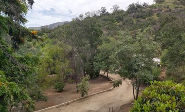 HERMOSA PARCELA VERDE Y COLORIDA CON POZO Y CONSTRUCCIONES