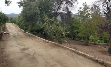 HERMOSA PARCELA VERDE Y COLORIDA CON POZO Y CONSTRUCCIONES